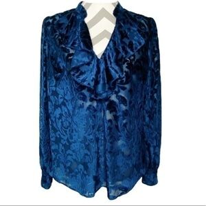 Rachel Zoe Velvet Long Sleeve Blouse